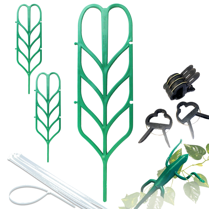 Plant Trellis Bundle