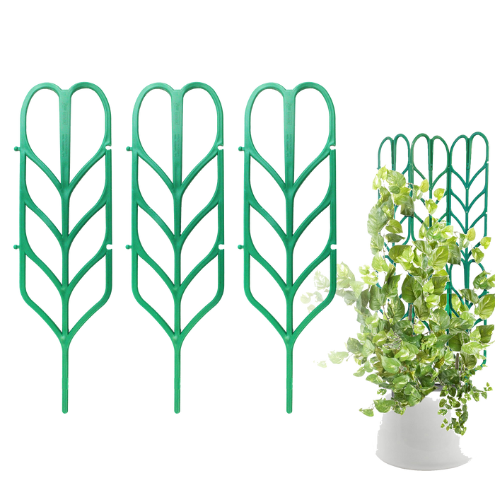 Plant Trellis