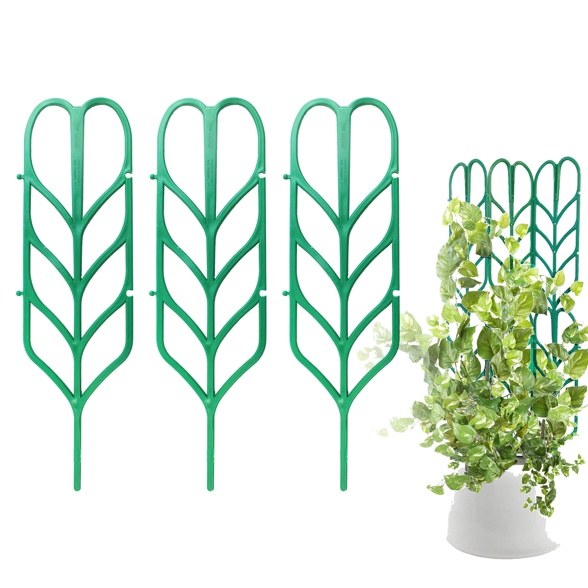Plant Trellis — PeerBasics